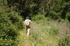 photaki1015814_0.5mb